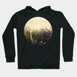 Hidden in the Magic Garden Hoodie